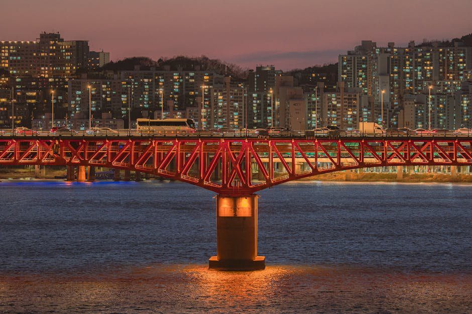 한강 여름 산책