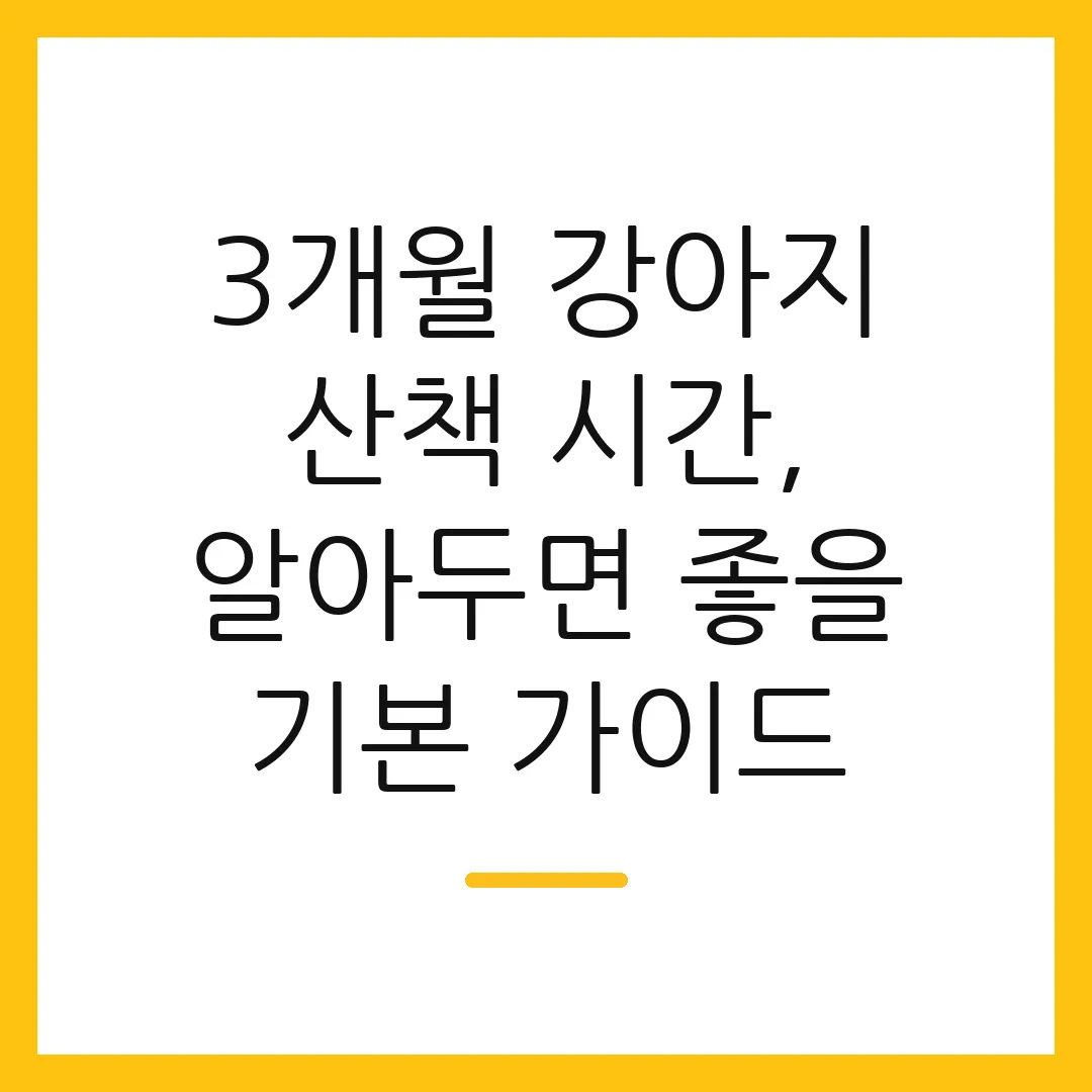 3개월 강아지 산책 시간, 알아두면 좋을 기본 가이드