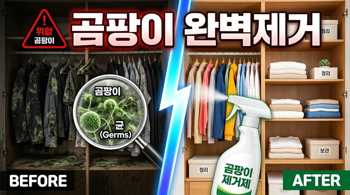 옷장 곰팡이 제거 예방 완벽 가이드ㅣ2026년 기준 2 옷장 곰팡이 완벽정리 – 원인·제거 방법·예방법 한 번에 끝내기