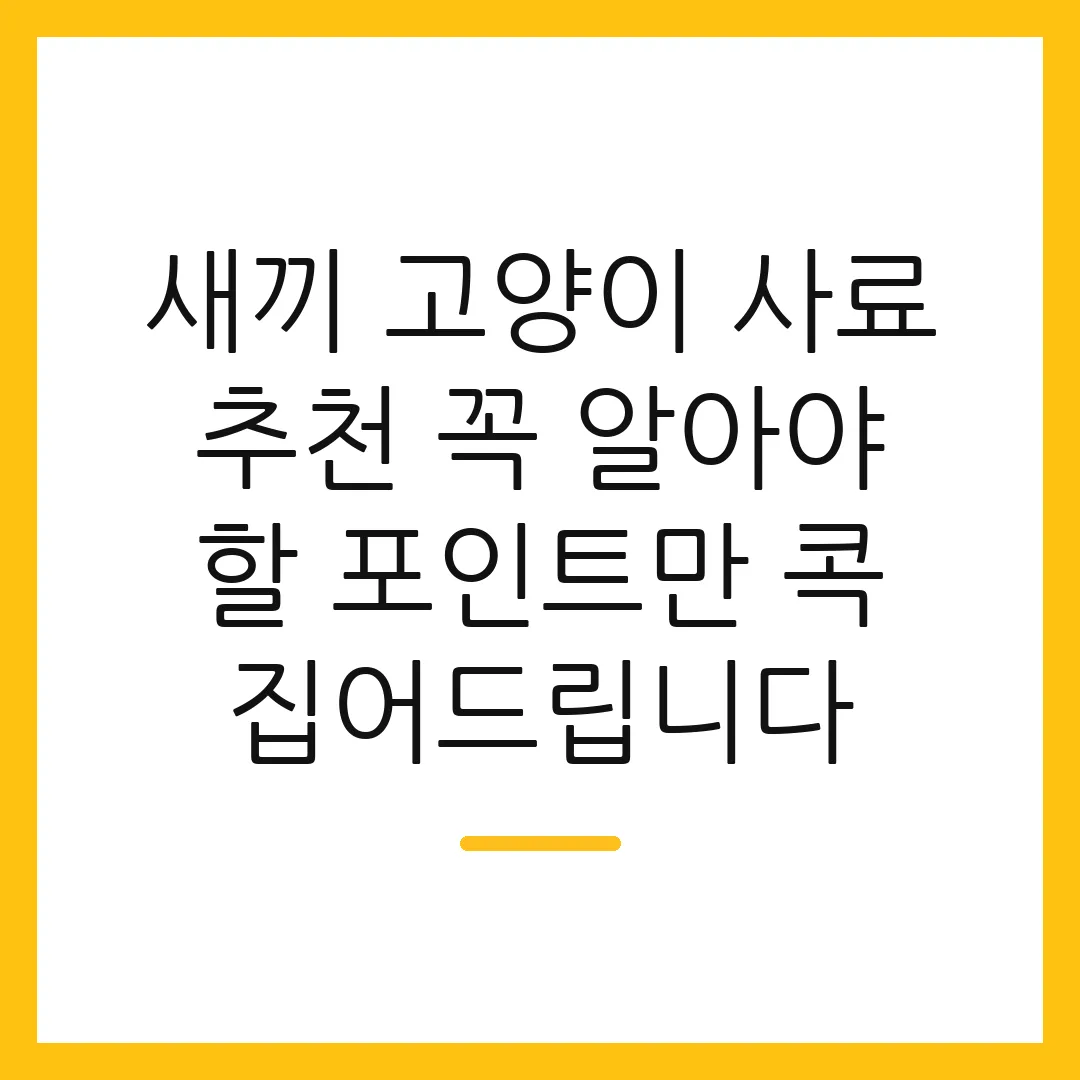 새끼 고양이 사료 추천 꼭 알아야 할 포인트만 콕 집어드립니다