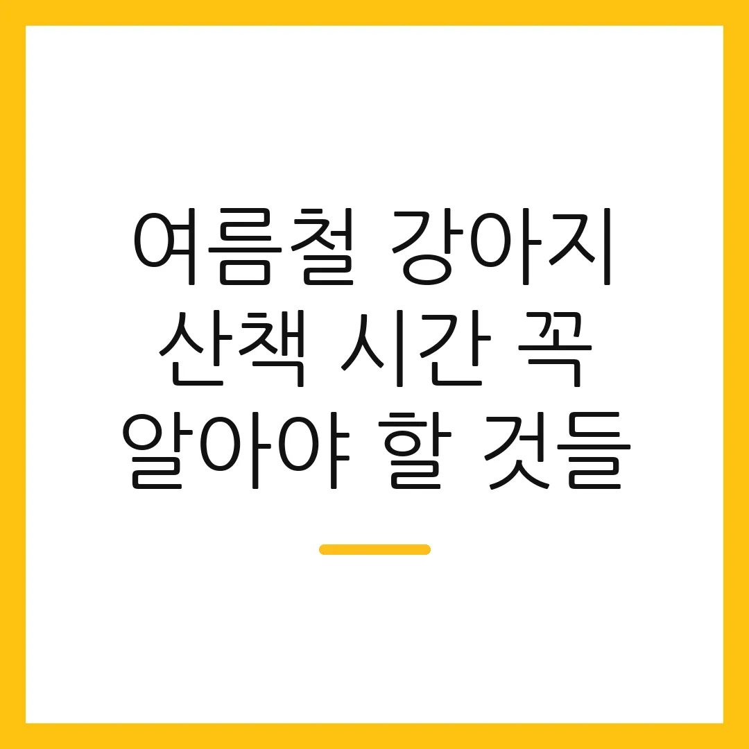 여름철 강아지 산책 시간 꼭 알아야 할 것들
