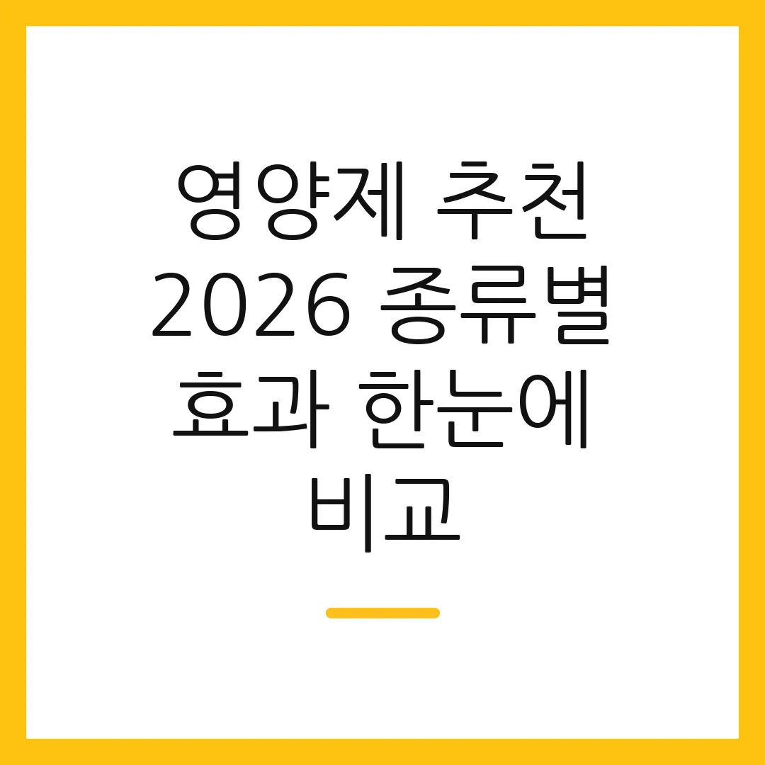 영양제 추천 2026 종류별 효과 한눈에 비교