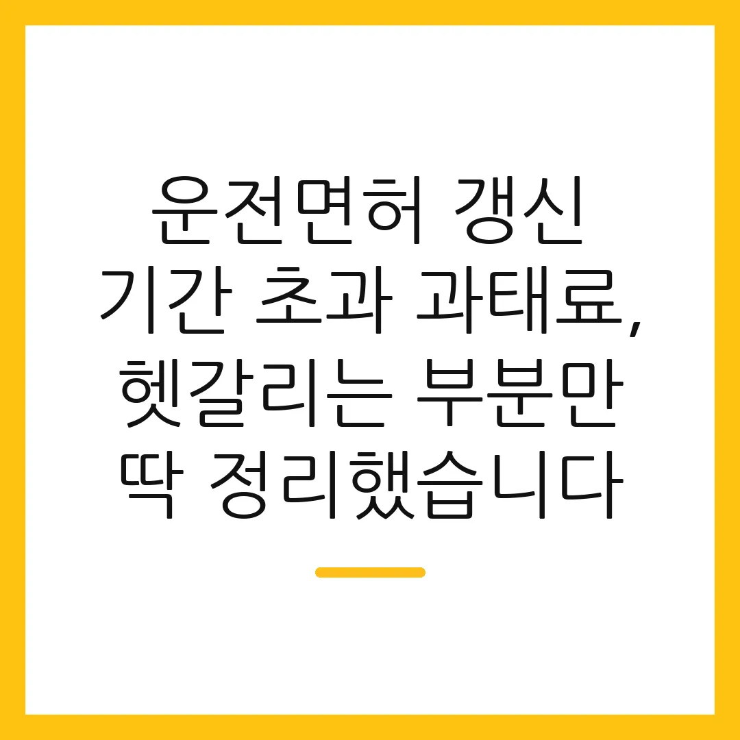 운전면허 갱신 기간 초과 과태료, 헷갈리는 부분만 딱 정리했습니다
