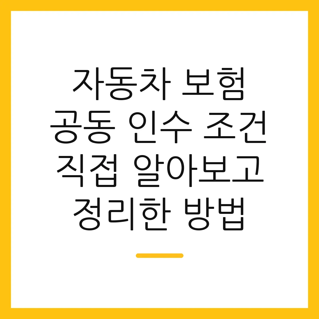 자동차 보험 공동 인수 조건 직접 알아보고 정리한 방법