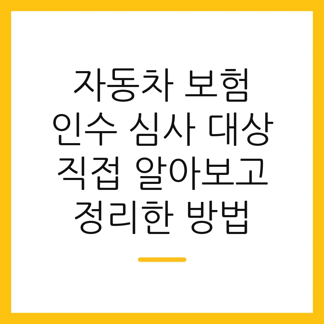 자동차 보험 인수 심사 대상 직접 알아보고 정리한 방법