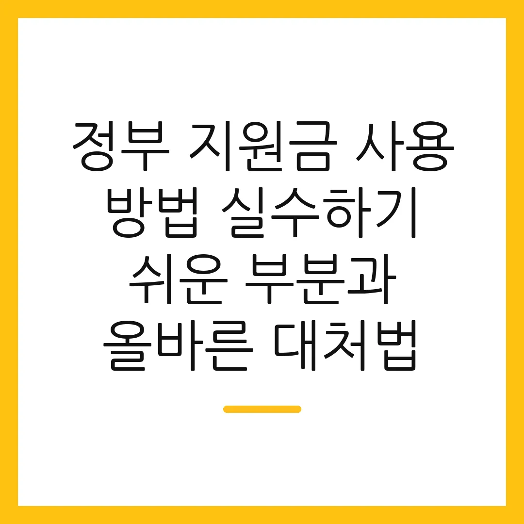 정부 지원금 사용 방법 실수하기 쉬운 부분과 올바른 대처법