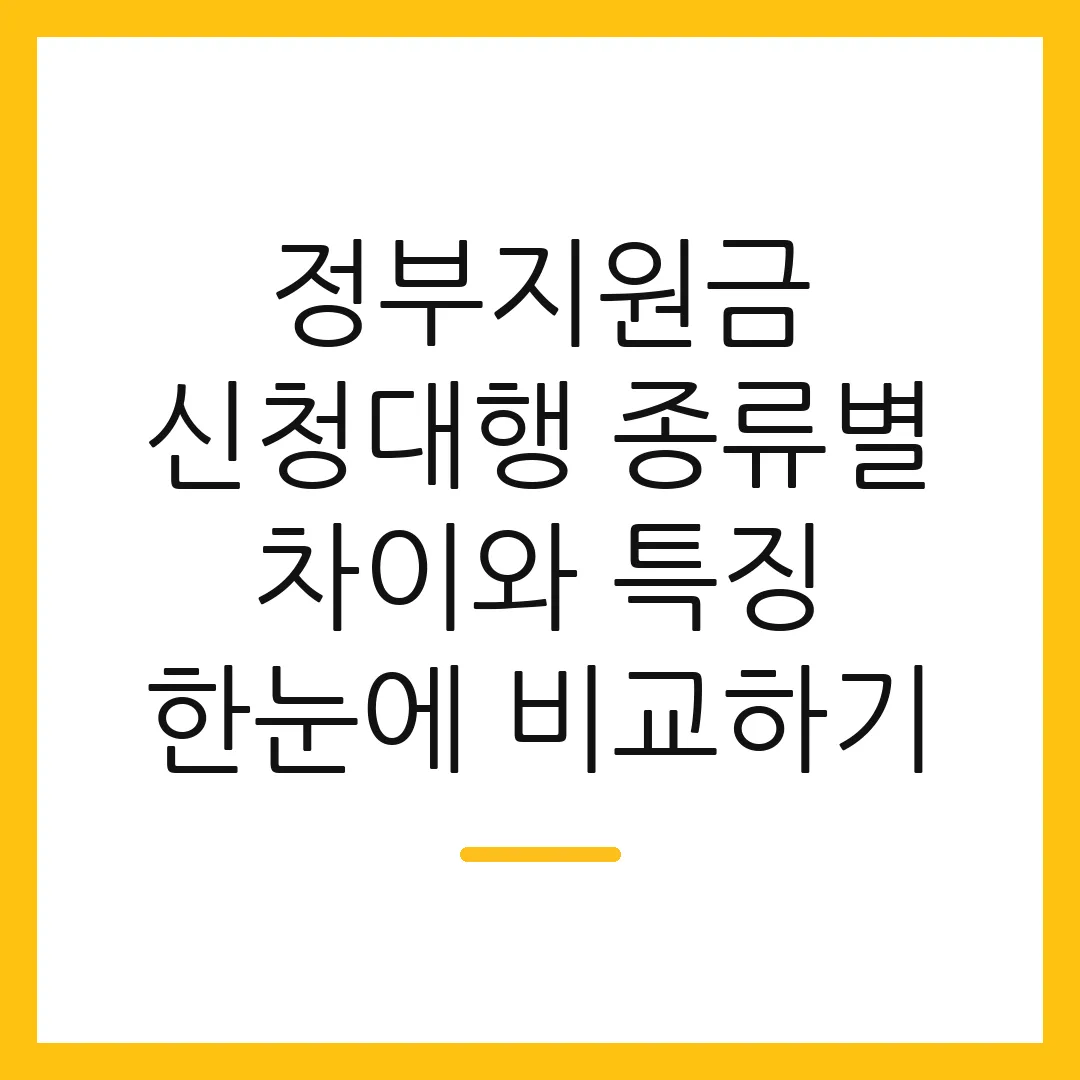 정부지원금 신청대행 종류별 차이와 특징 한눈에 비교하기