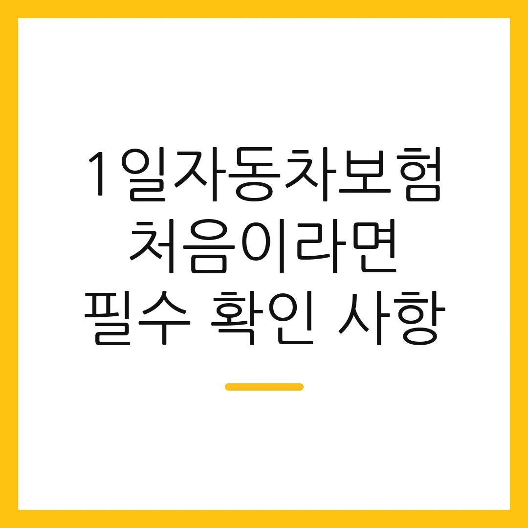 1일자동차보험 처음이라면 필수 확인 사항