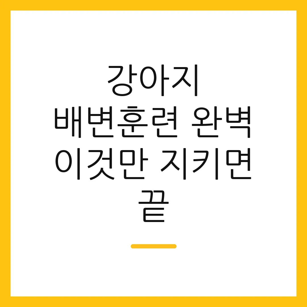 강아지 배변훈련 완벽 이것만 지키면 끝 2 강아지 배변훈련 완벽 이것만 지키면 끝