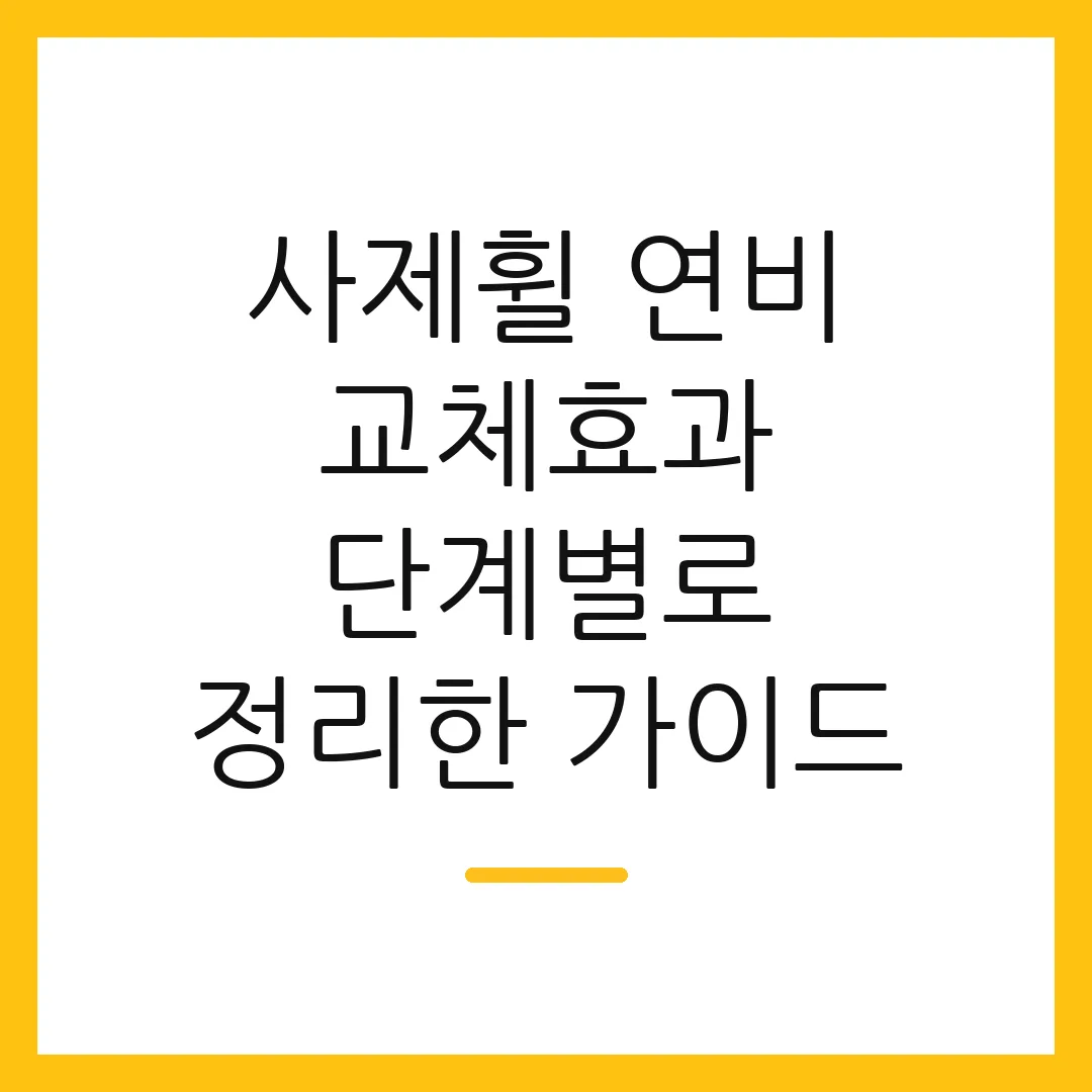 사제휠 연비 교체효과 단계별로 정리한 가이드