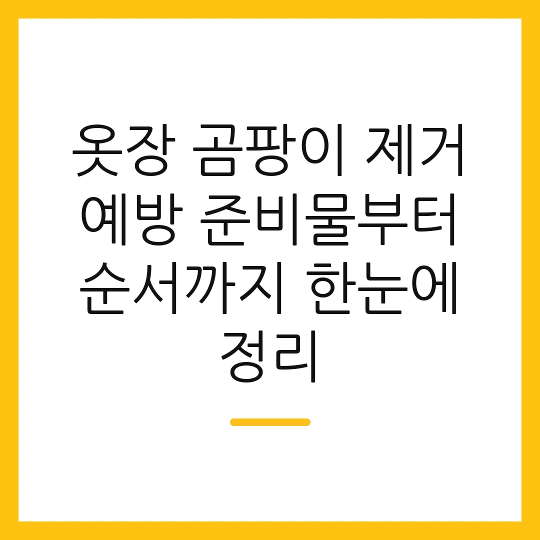옷장 곰팡이 제거 예방 준비물부터 순서까지 한눈에 정리