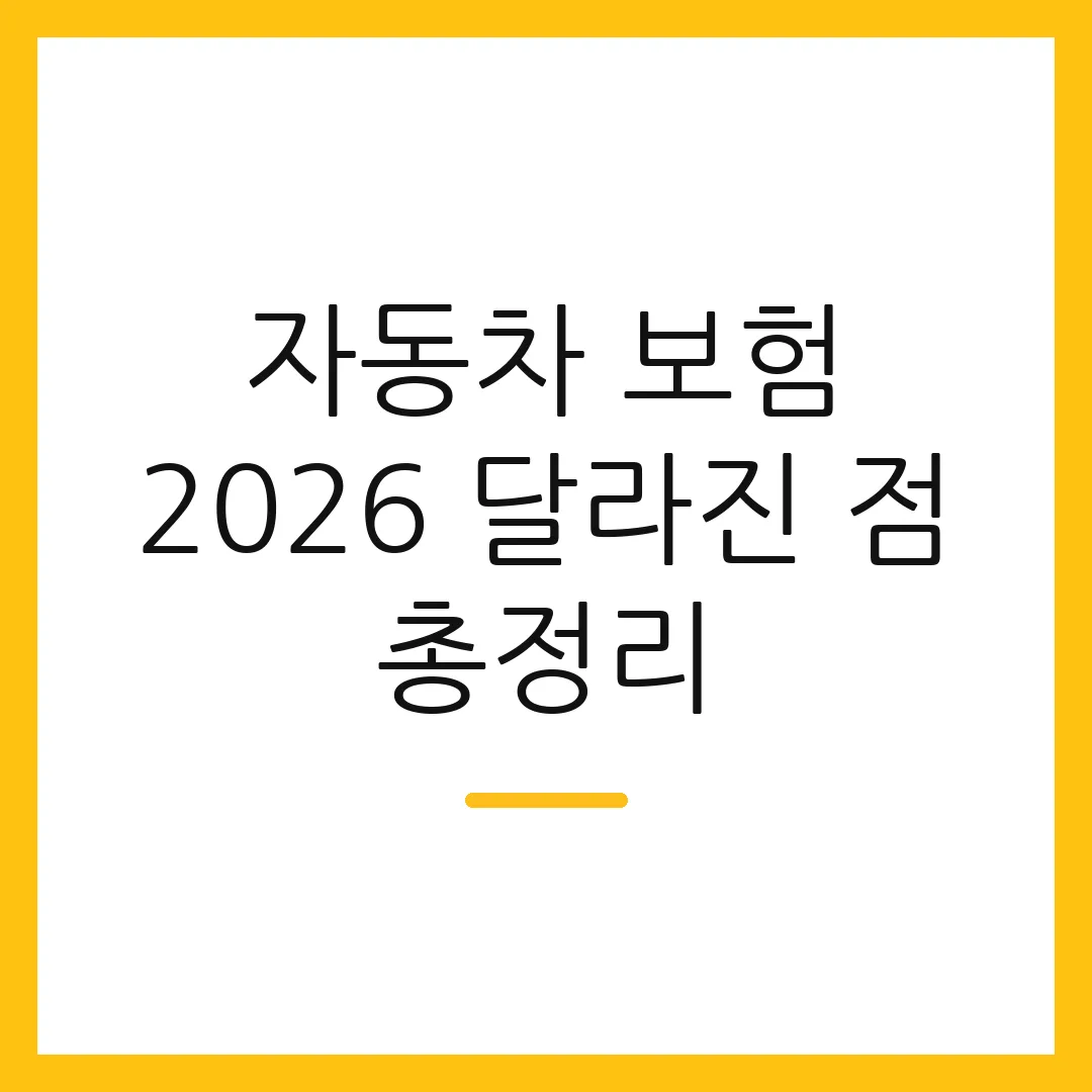 자동차 보험 2026 달라진 점 총정리