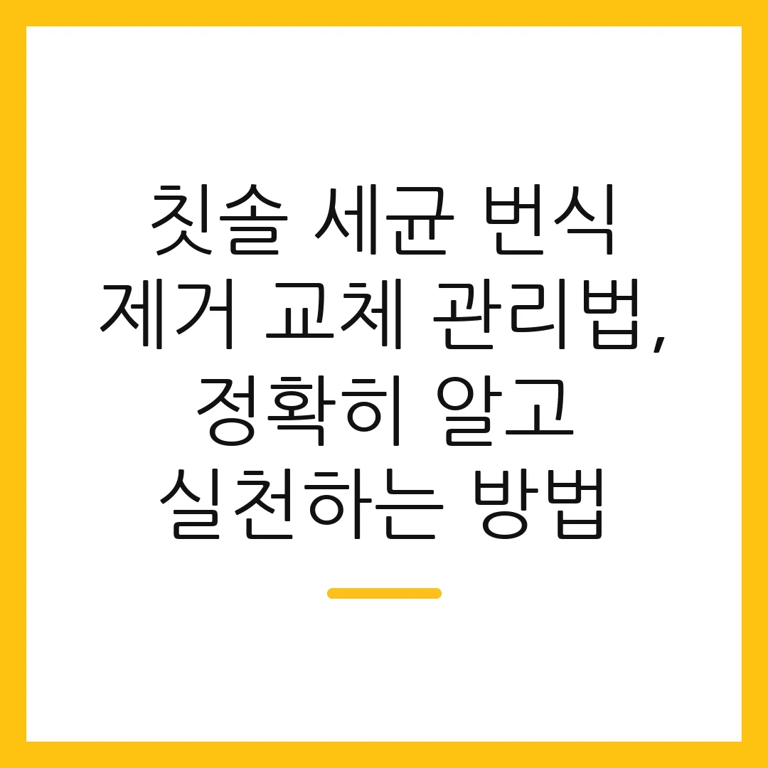 칫솔 세균 번식 제거 교체 관리법, 정확히 알고 실천하는 방법