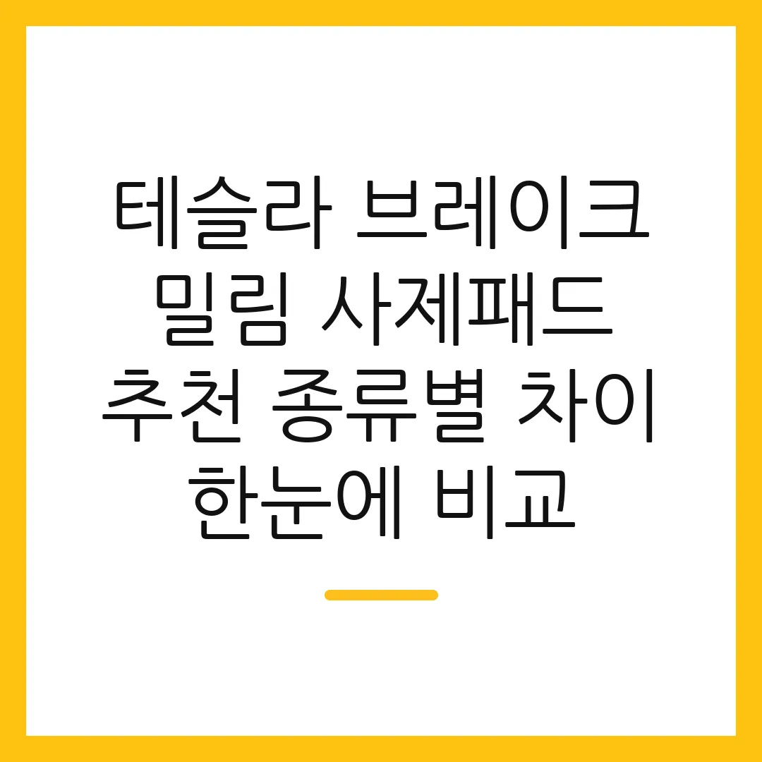 테슬라 브레이크 밀림 사제패드 추천 종류별 차이 한눈에 비교