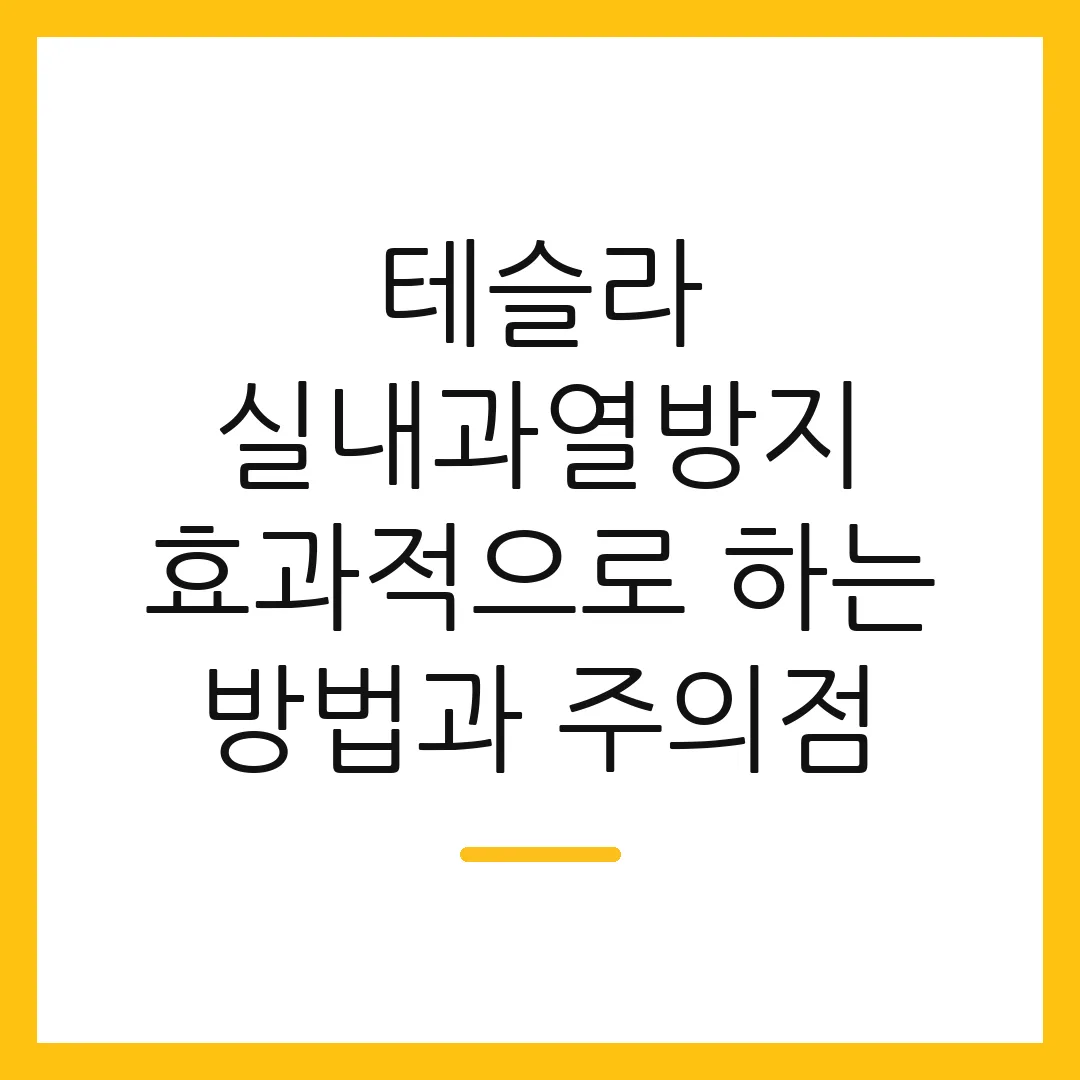 테슬라 실내과열방지 효과적으로 하는 방법과 주의점